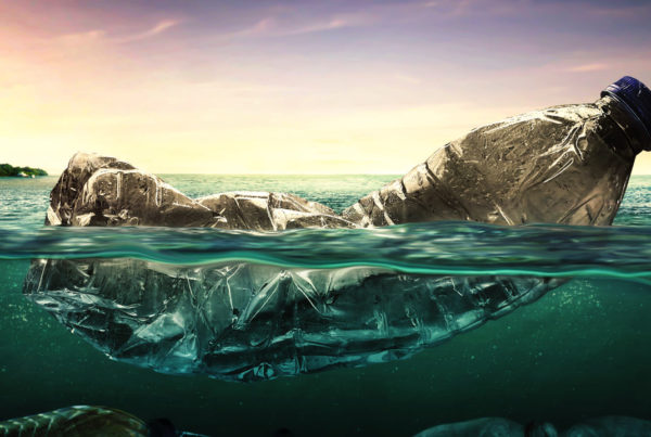 Emergenza Plastica Negli Oceani